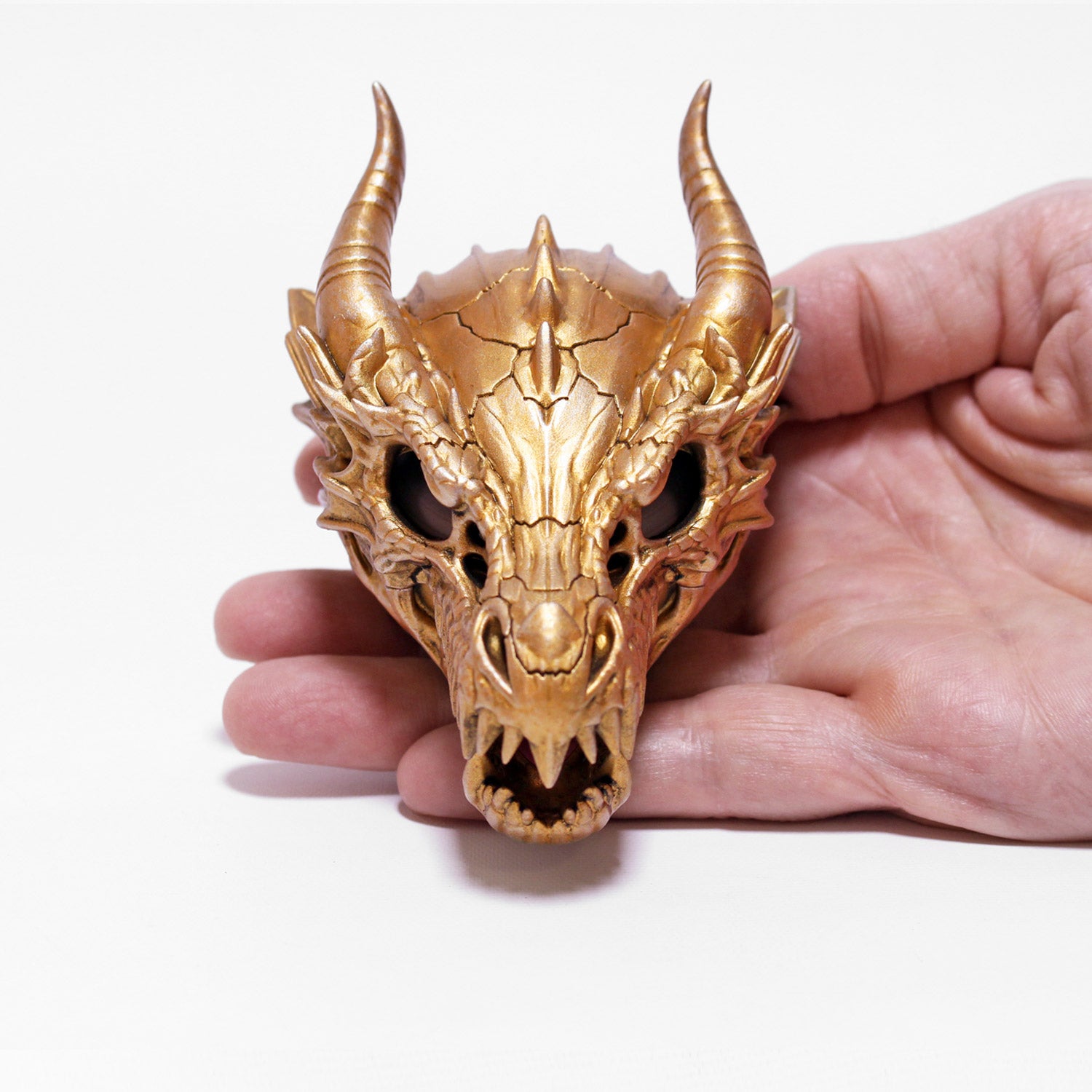 all-groups Front view of Dragon Skull Ring Box showing detailed design in hand