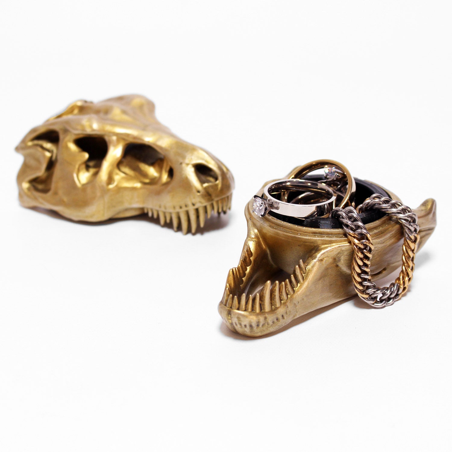 all-groups T-Rex Skull Ring Box with the interchangeable insert jewel case
