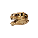 T-Rex Skull Dinosaur Jurassic Ring Box