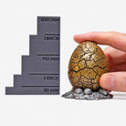 all-groups Size comparison of Dinosaur Egg Ring Box next to ruler