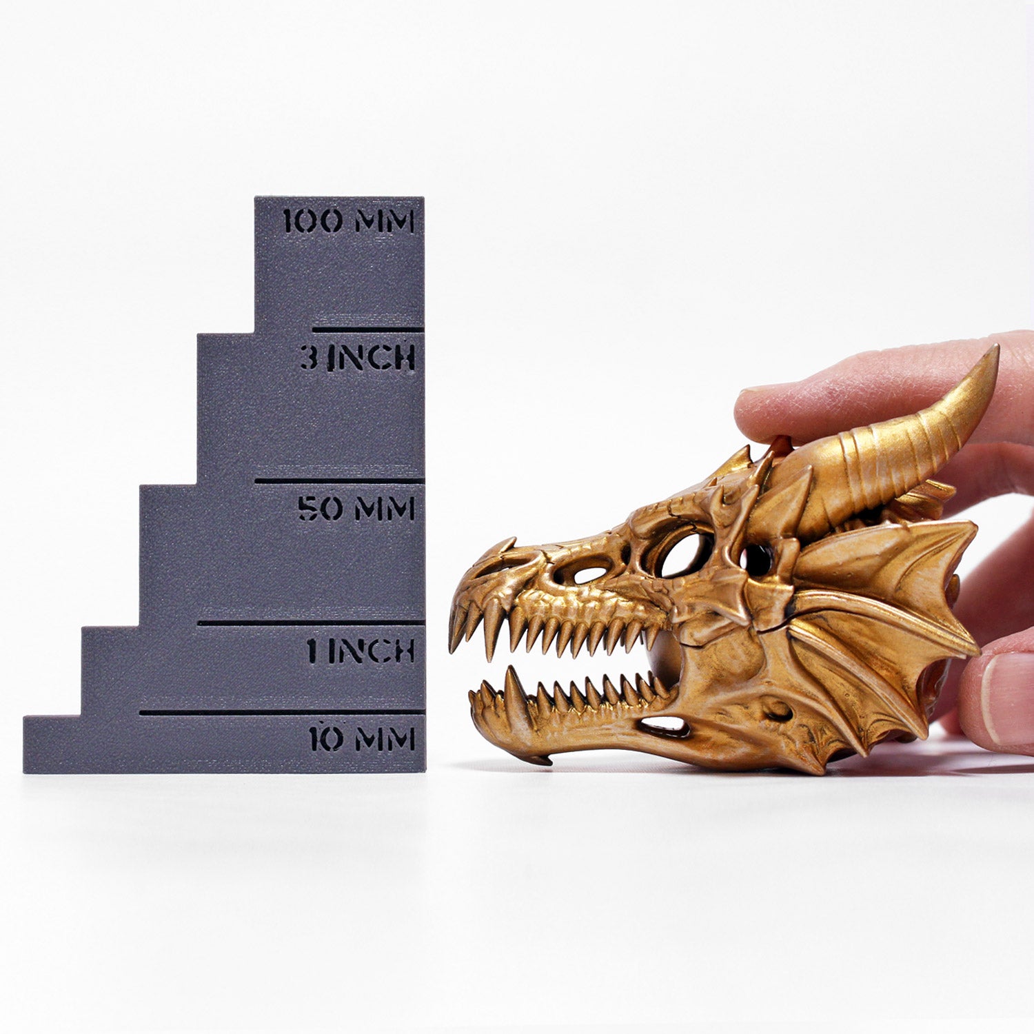 all-groups Size comparison of Dragon Skull Ring Box next to ruler