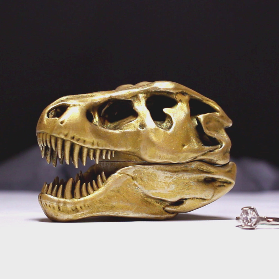 all-groups T-Rex Skull Ring Box overview video showing design and details