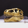 all-groups T-Rex Skull Ring Box overview video showing design and details