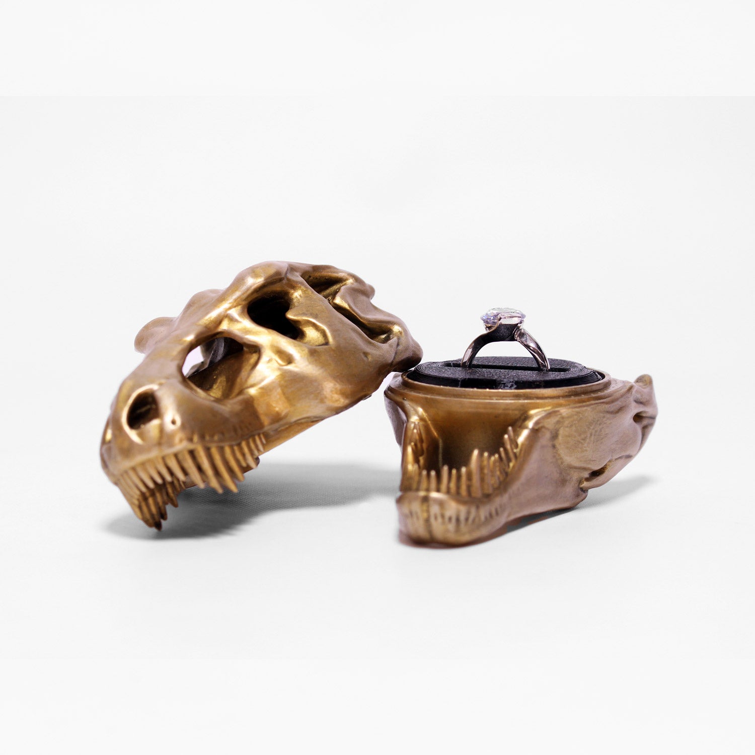 all-groups T-Rex Skull Ring Box open with a single black insert