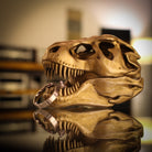 all-groups Front view of T-Rex Ring Box in Cinematic Scenario