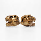 all-groups Front and back view of T-Rex Skull Ring Box showing detailed fossil design