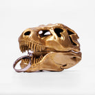 all-groups Side view of T-Rex Skull Ring Box highlighting realistic dinosaur